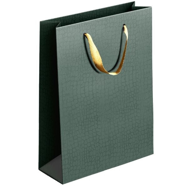 Embossed Matte Paper Gift Bag Large Assorted Colours P1906 (Parcel Rate)