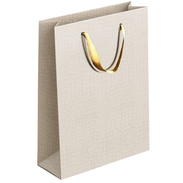 Embossed Matte Paper Gift Bag Medium Assorted Colours P1905 (Large Letter Rate)