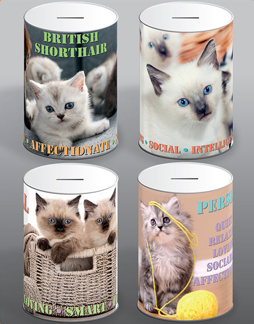 Cat Money Tin 100mm x 150mm Assorted Designs CAT001 (Parcel Rate)