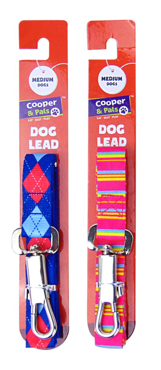 Multicolour Medium Dog Lead Assorted Designs 318829 (Parcel Rate)