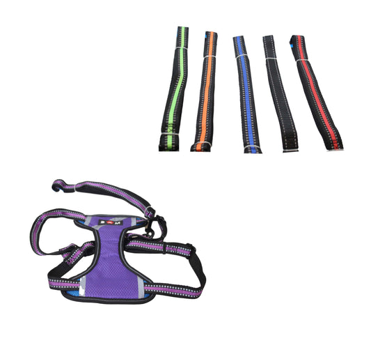 Pets Dog Outdoor Leads Lease Harness 24 x 18 cm Assorted Colours 6033 (Parcel Rate)