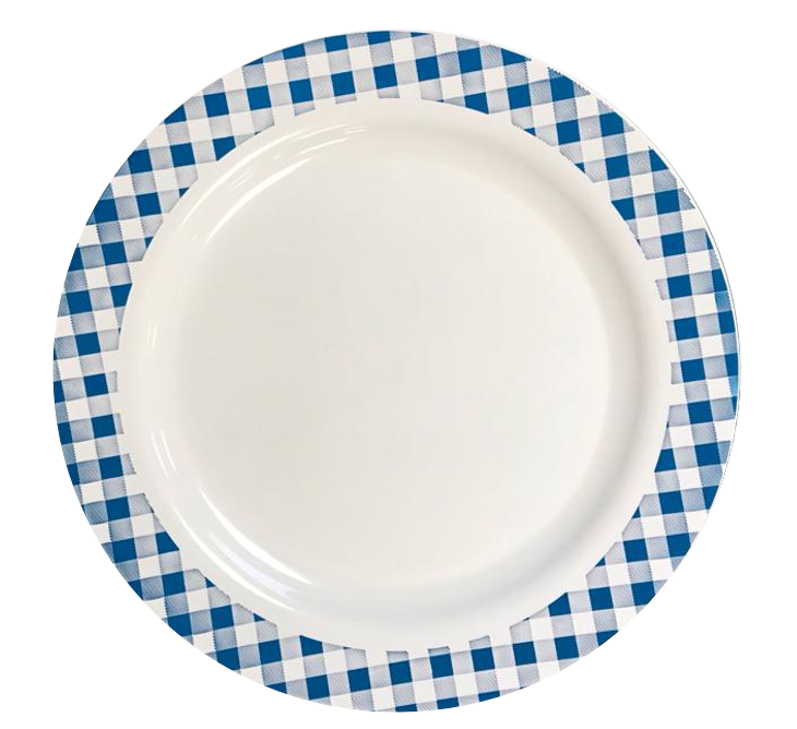 Plastic Plate with Printed Blue Border Design 24 cm PPBB (Parcel Rate)